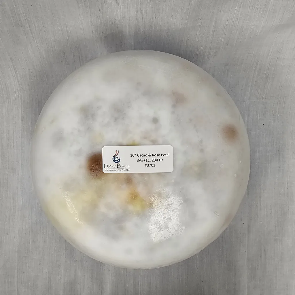 3702 2 (1).webp