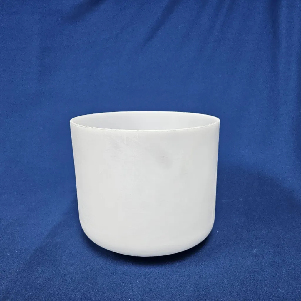 4550 1.webp