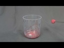 youtube - [Video]