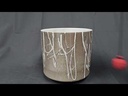 youtube - [Video]