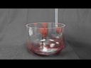 youtube - [Video]