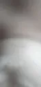 4366 4.webp
