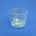 [#1597] 9" Chrysocolla Infused Quartz Crystal Singing Bowl | D-20