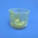 [#1631] 9" Tsavorite Infused Quartz Crystal Singing Bowl | D+10